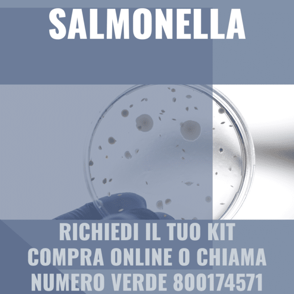 salmonella