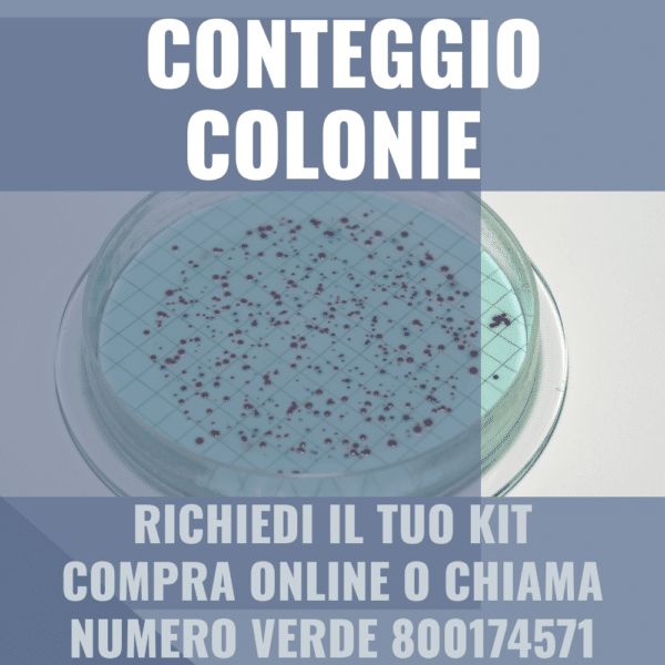 conteggio colonie