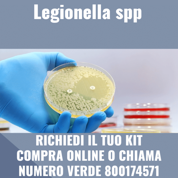 Legionella spp