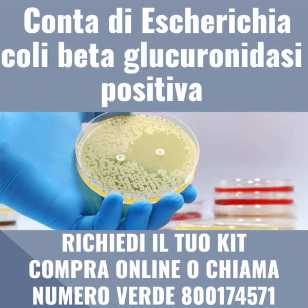 Conta di Escherichia coli beta glucuronidasi positiva