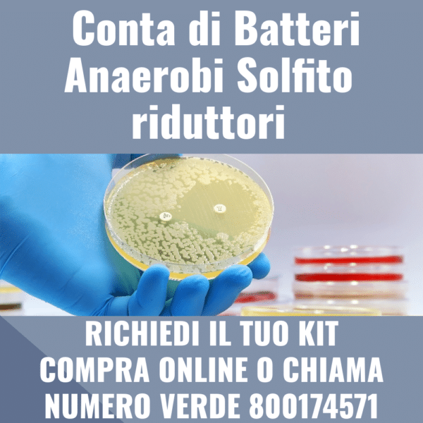 Conta di Batteri Anaerobi Solfito riduttori