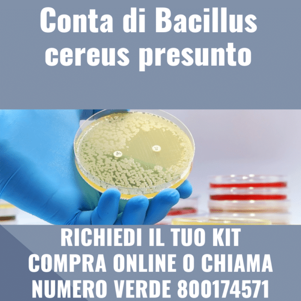 Conta di Bacillus cereus presunto