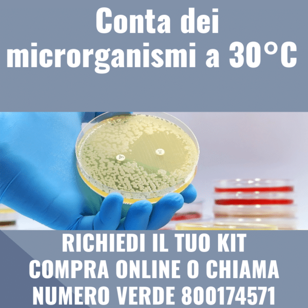 Conta dei microrganismi a 30°C