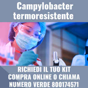 Campylobacter termoresistente