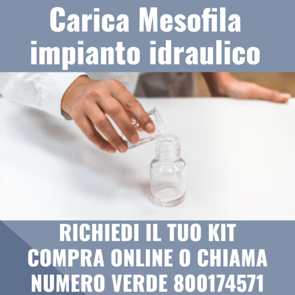 Carica Mesofila impianto idraulico