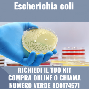 Escherichia coli