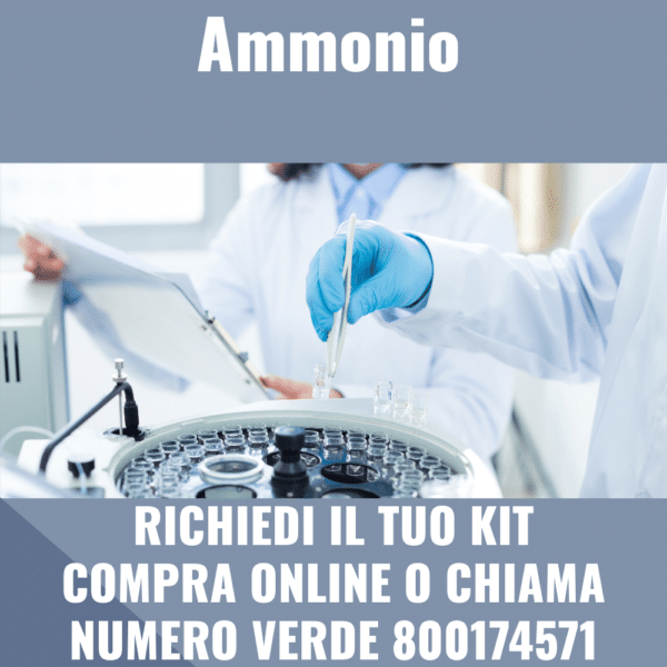 ammonio