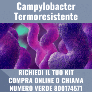 Campylobacter Termoresistente