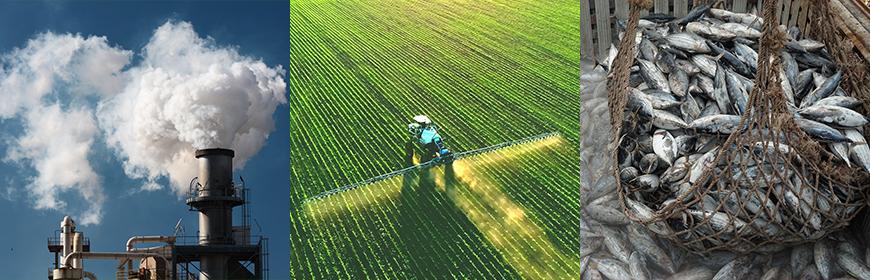 Tipologie di⁤ contaminanti da monitorare nell'analisi dell'acqua ‍del pozzo