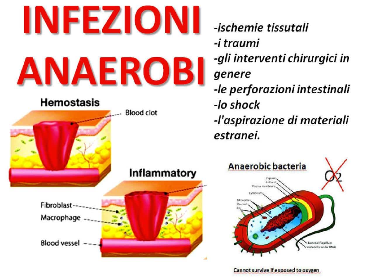 Anaerobi Solfito Riduttori: Cosa Sono e Come Analizzarli