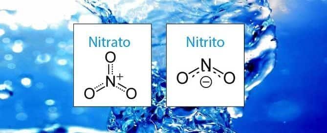 Nitrati e Nitriti nell'Acqua:⁣ Cosa Sono e ⁣Come si Formano